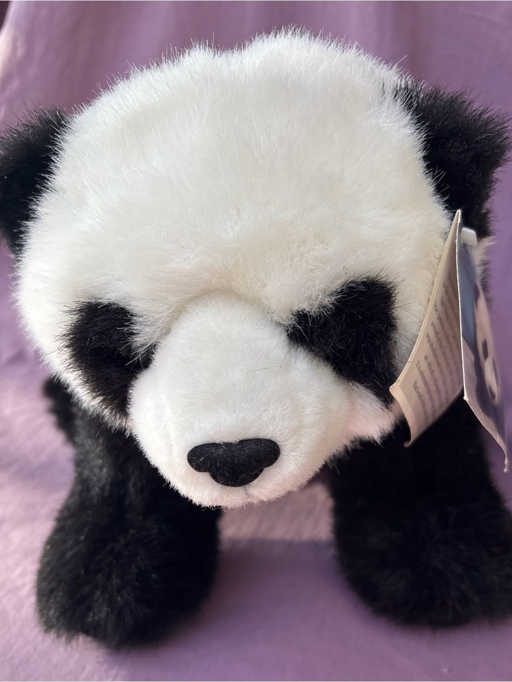 Aurora Giant PANDA HUA MEI San Diego ZOO endangered 1999 NWT - Picture 2 of 10